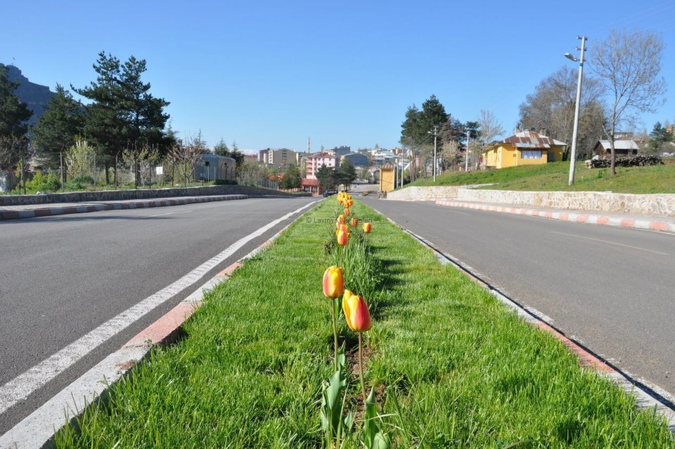 Ara Güler Caddesi