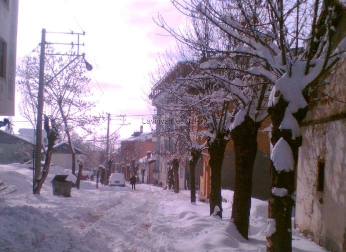 Bir kış manzarası 2