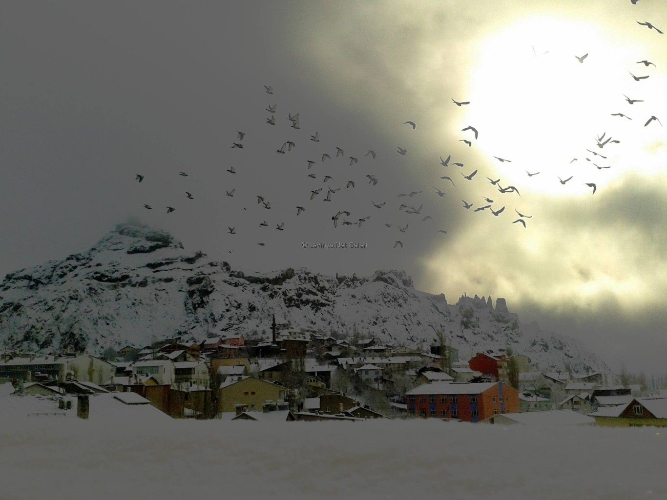 Bir kış sabahı, Şebinkarahisar