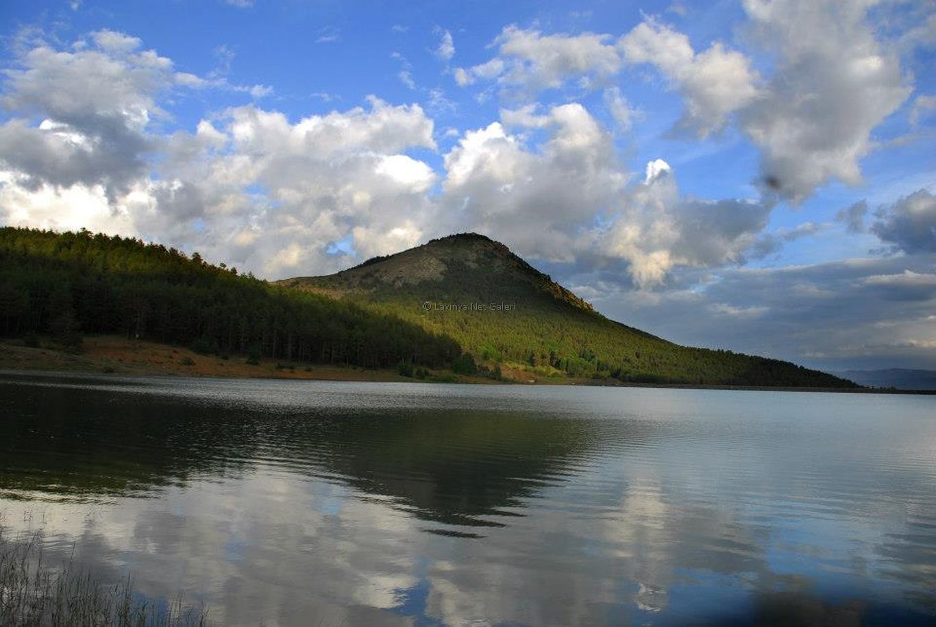 Dikmetaş
