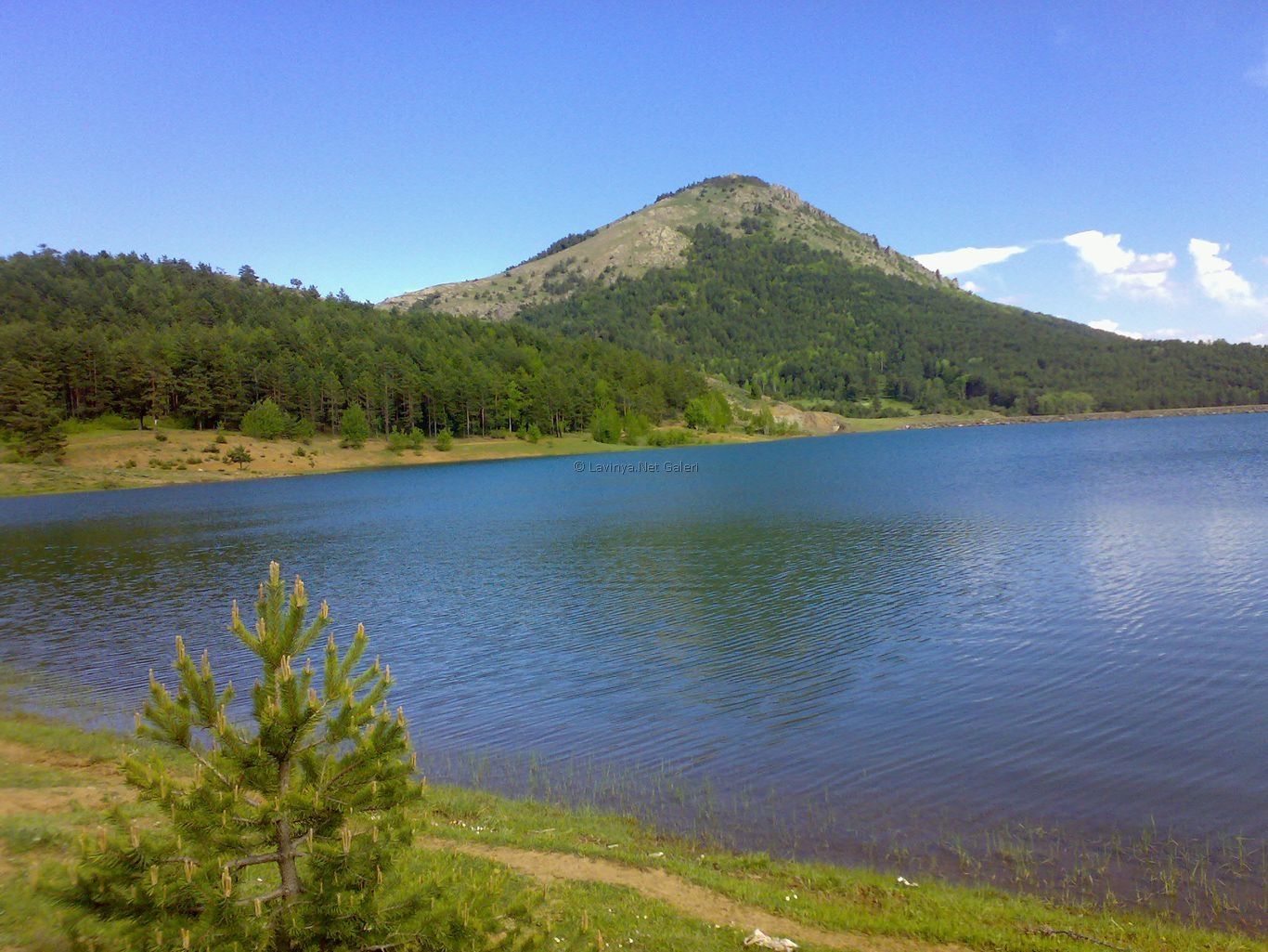 Dikmetaş Göleti