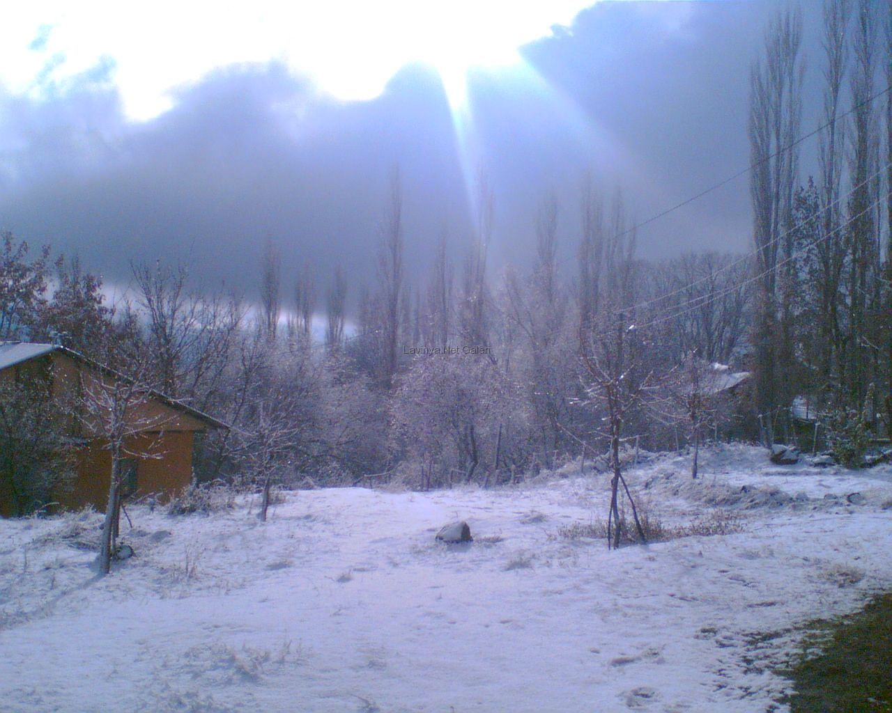 Gelinlik