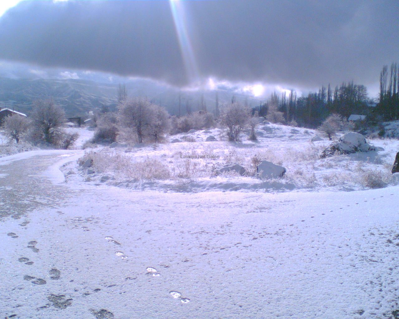 Gelinlik1