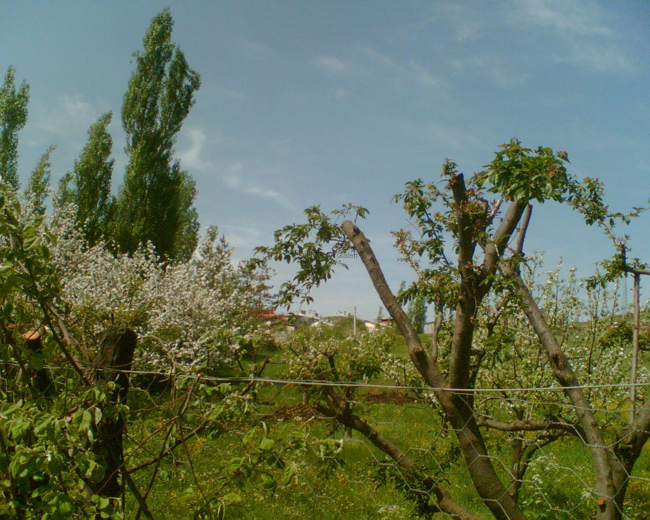 İlkbahar