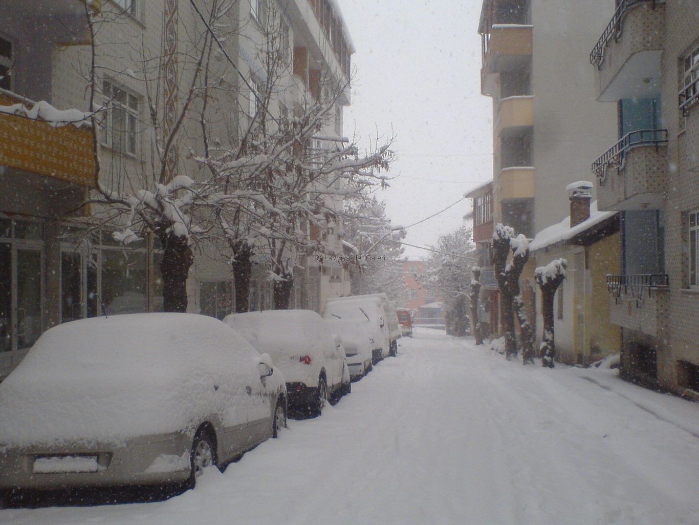Kış 2013