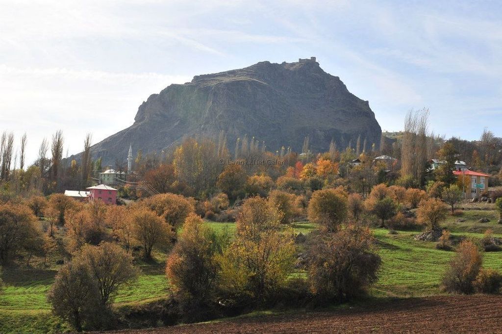 Kavaklar