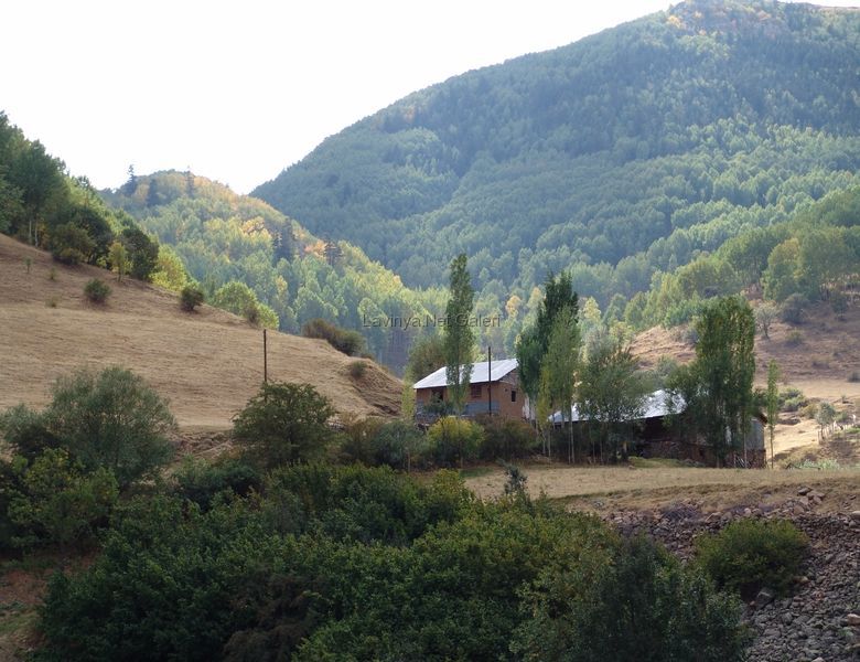 Manzara