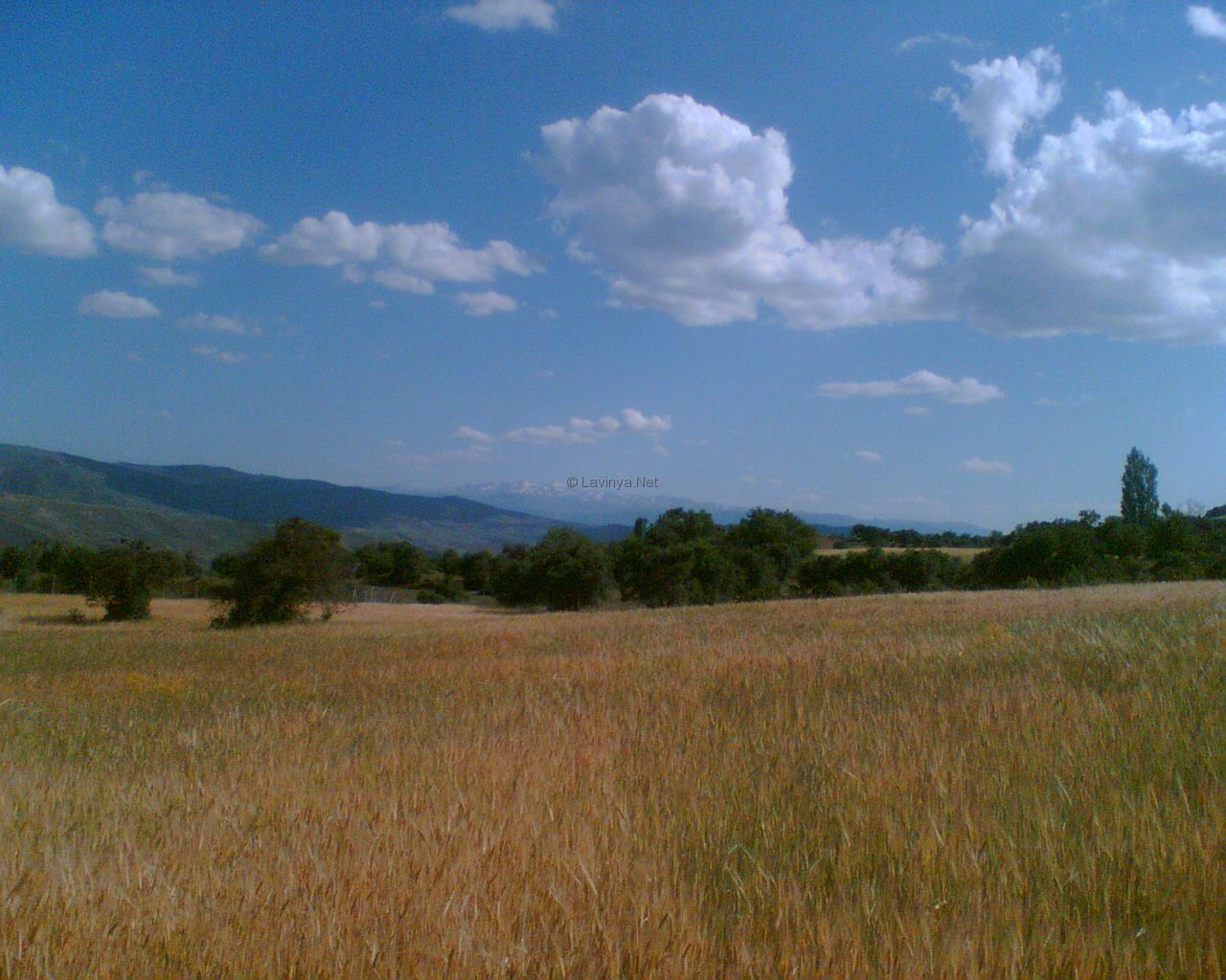 Sararırken