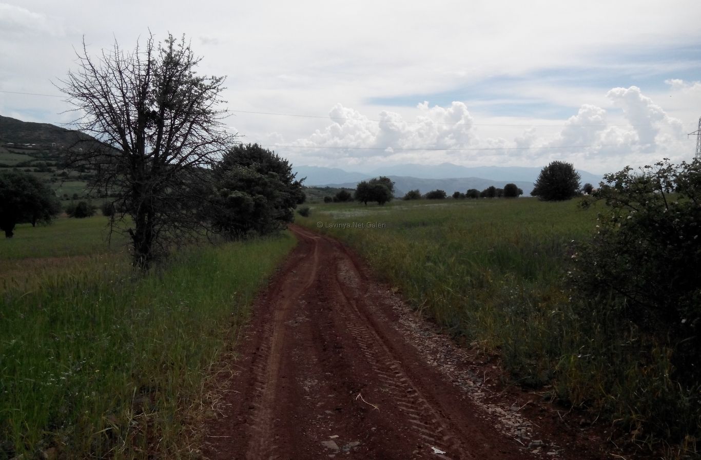 Yol