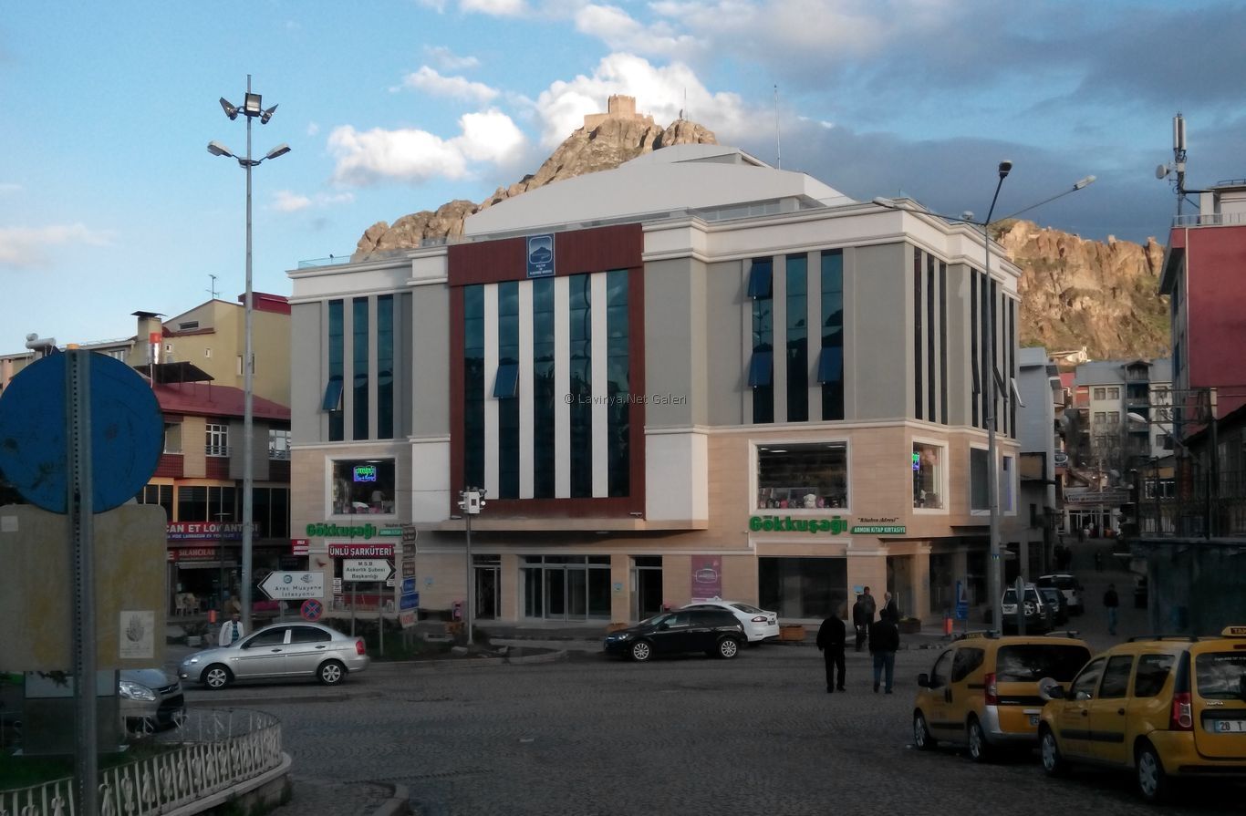 Şebinkarahisar Kültür ve İş Merkezi