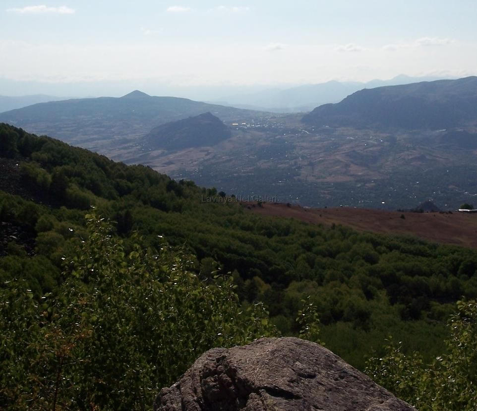 Manzara