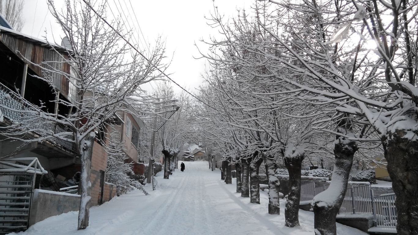 Şebinkarahisar
