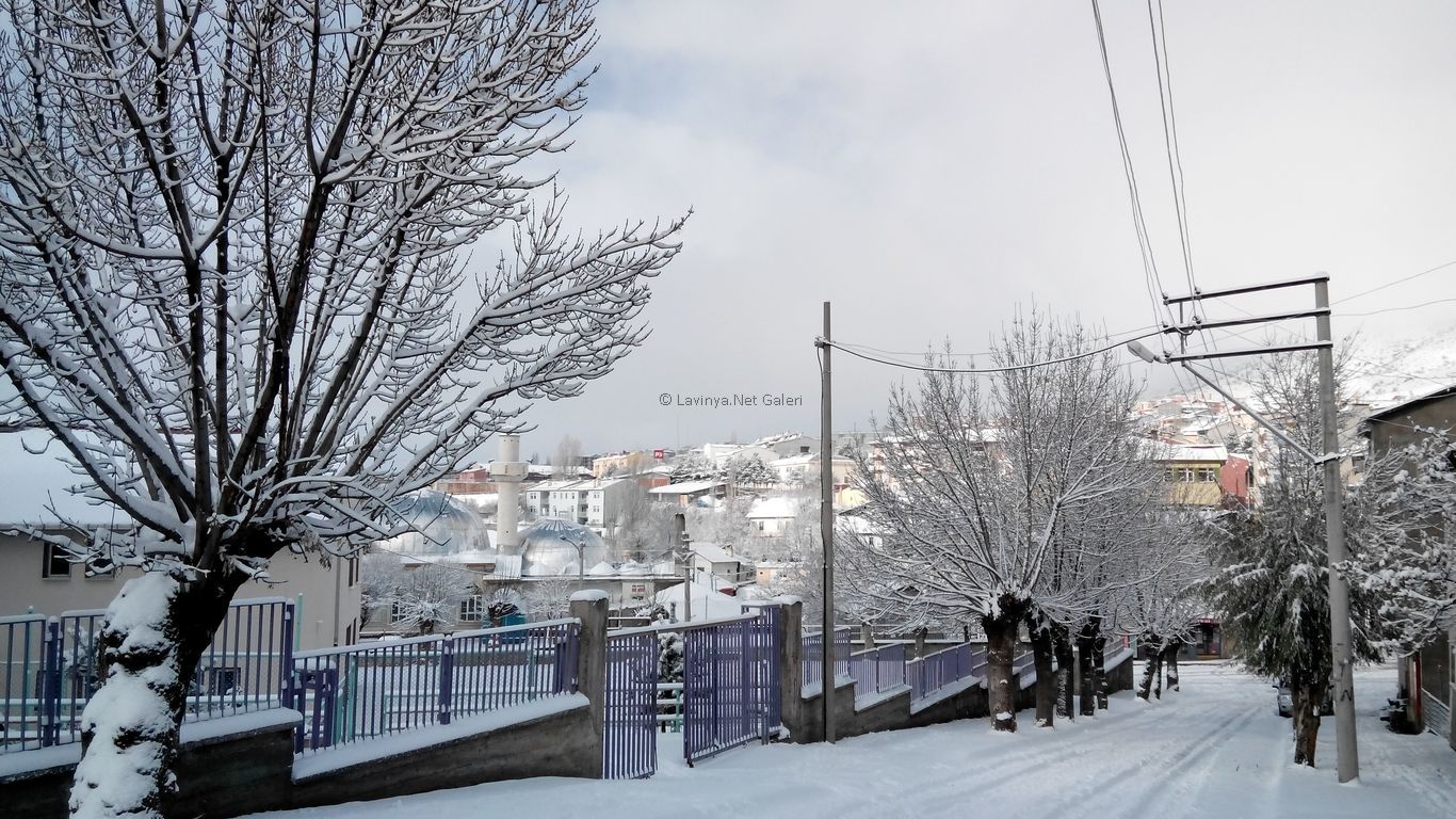 Şebinkarahisar'da Kış