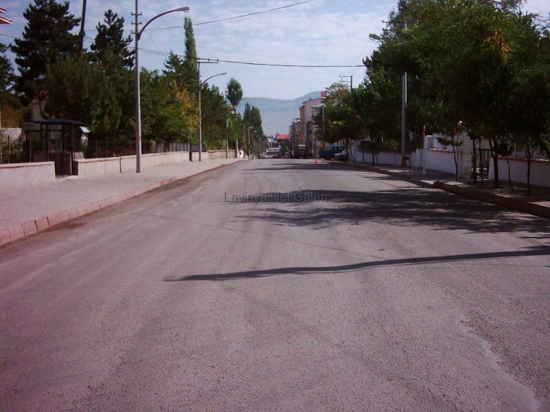 Şebinkarahisar