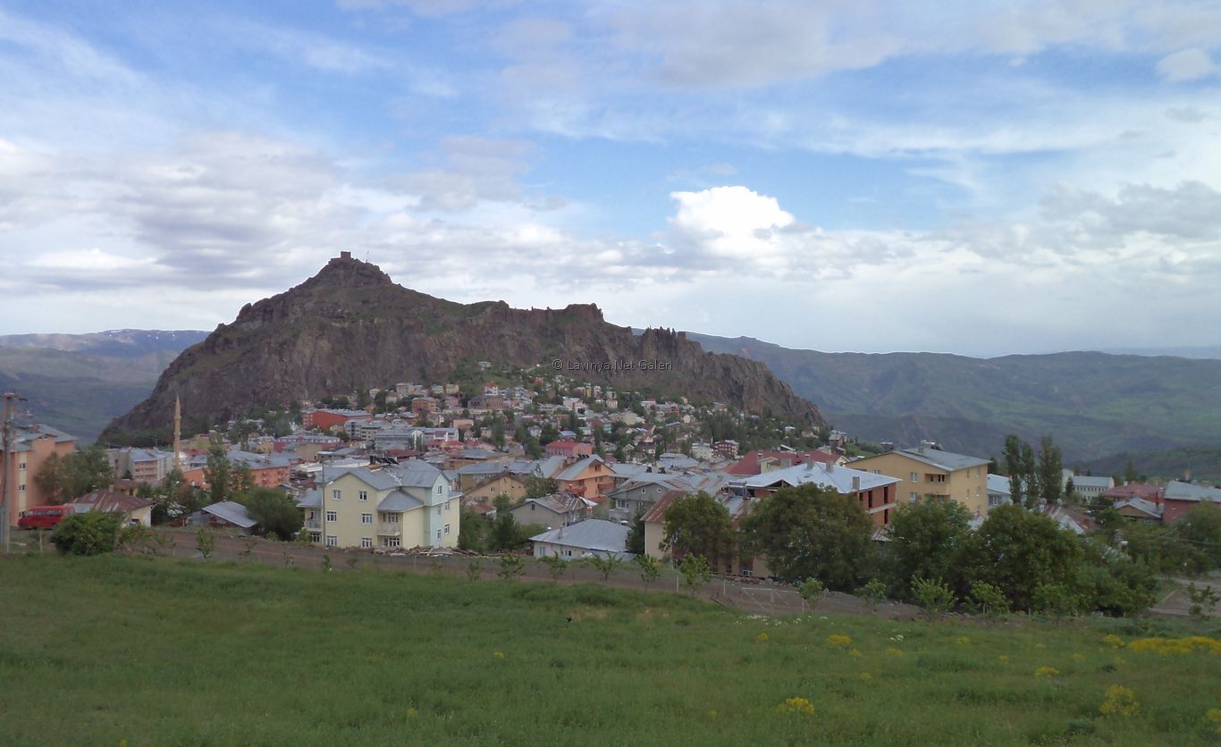 Şebinkarahisar