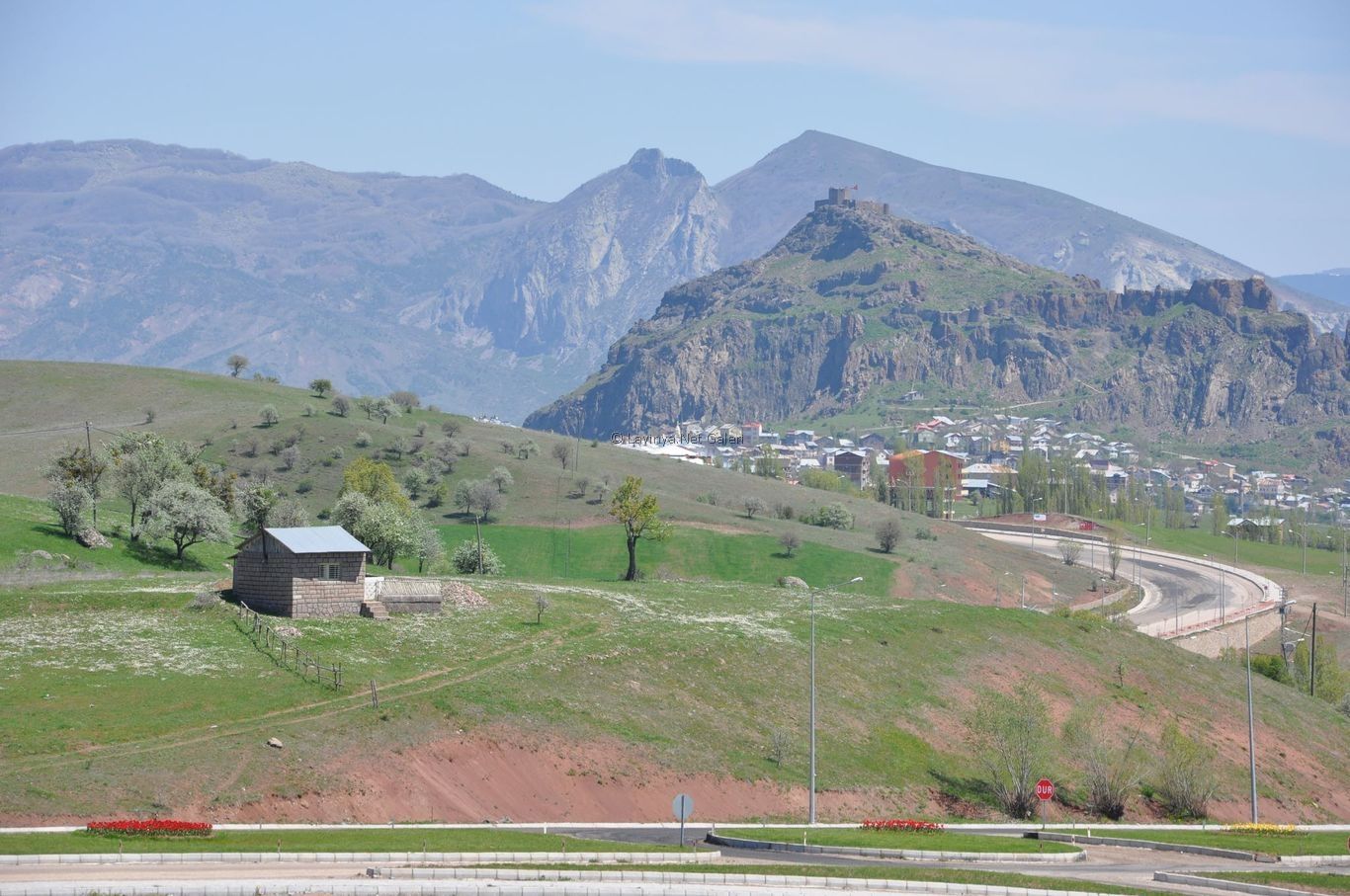 Şebinkarahisar