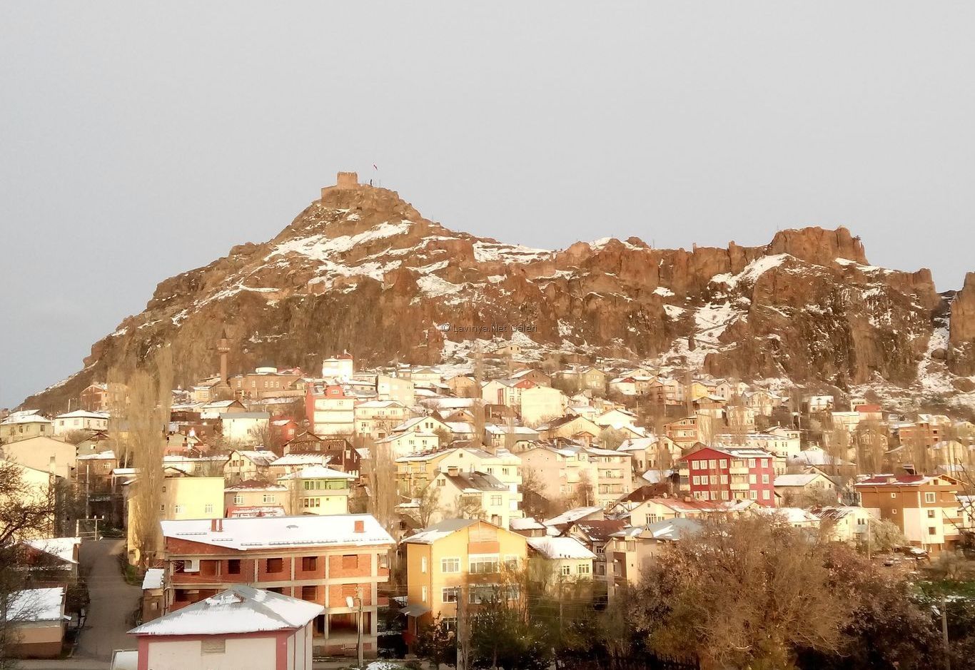 Şebinkarahisar