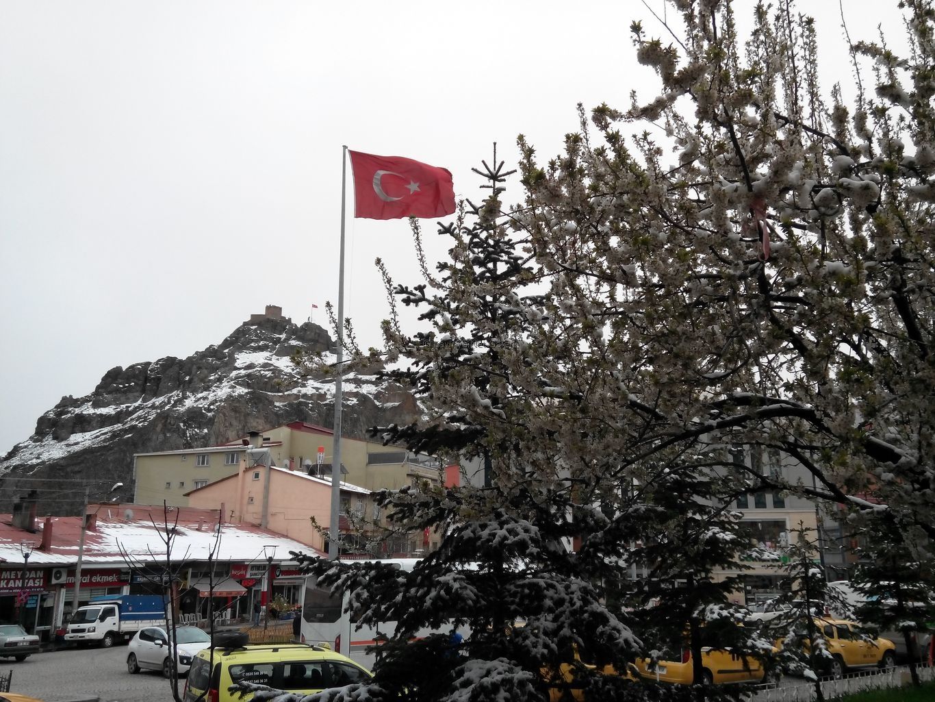 Şebinkarahisar