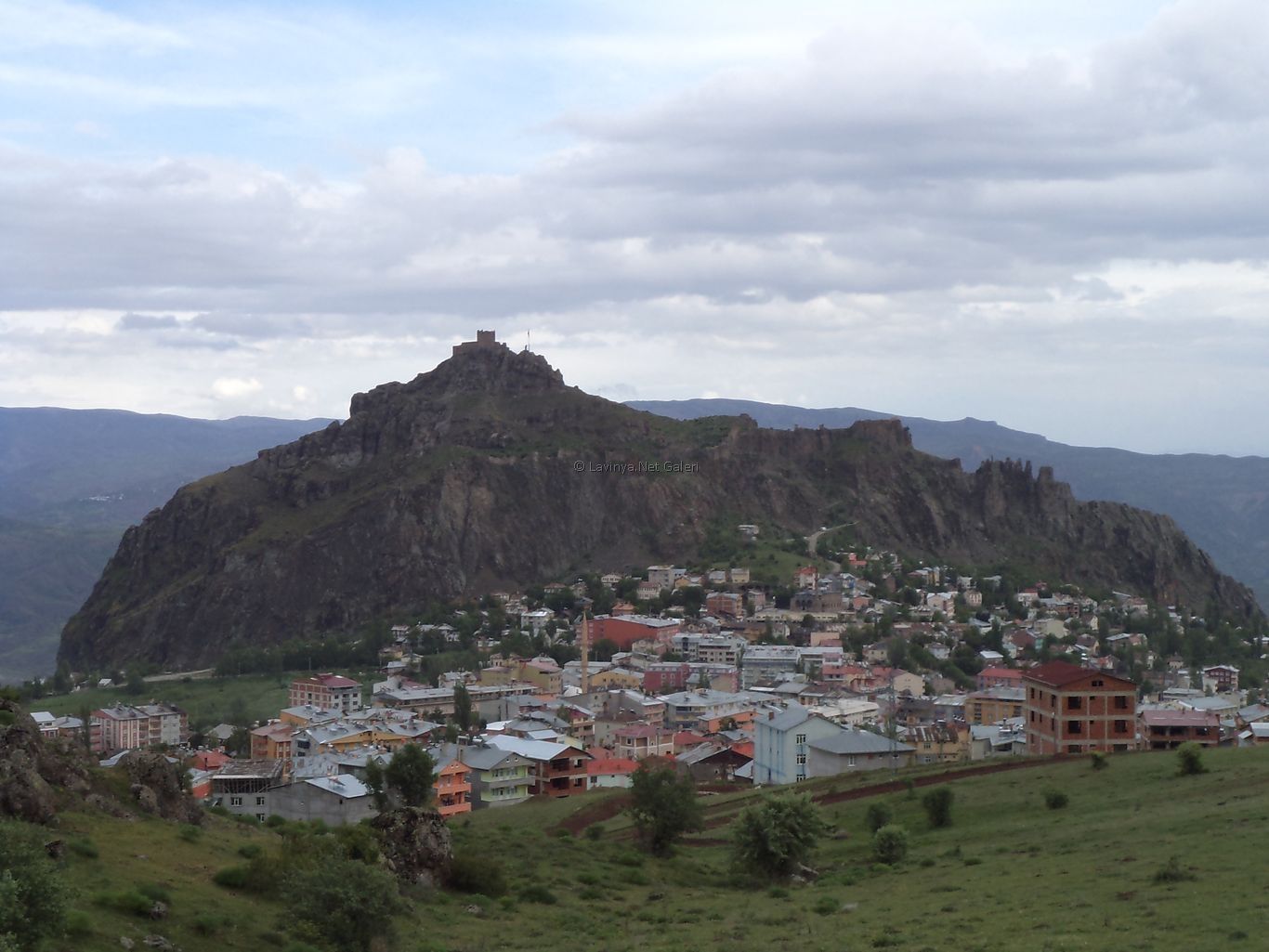 Şebinkarahisar