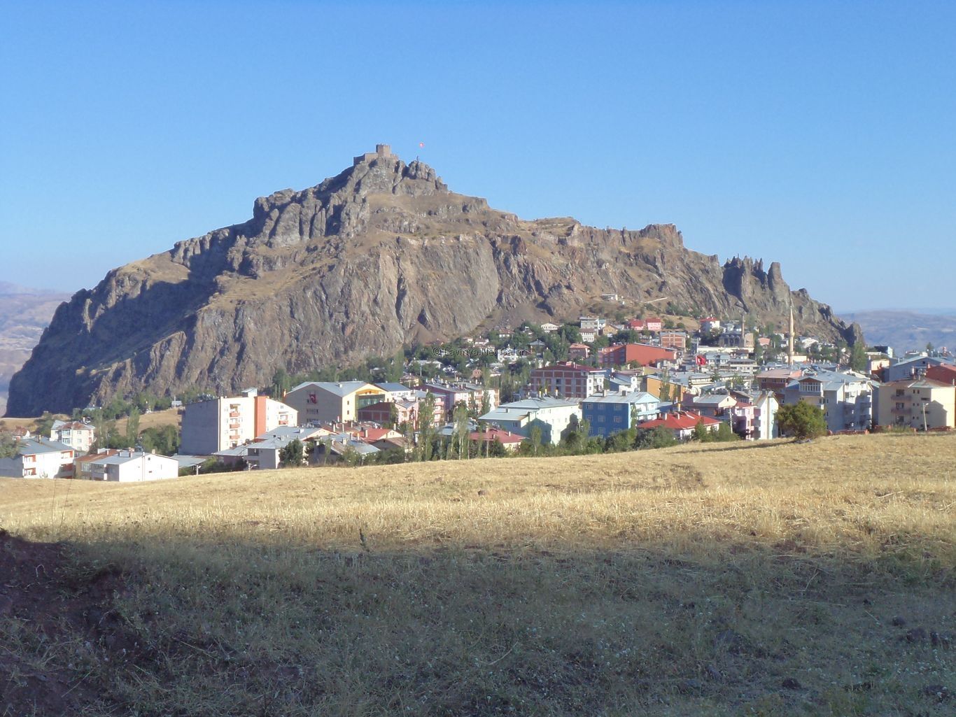 Şebinkarahisar