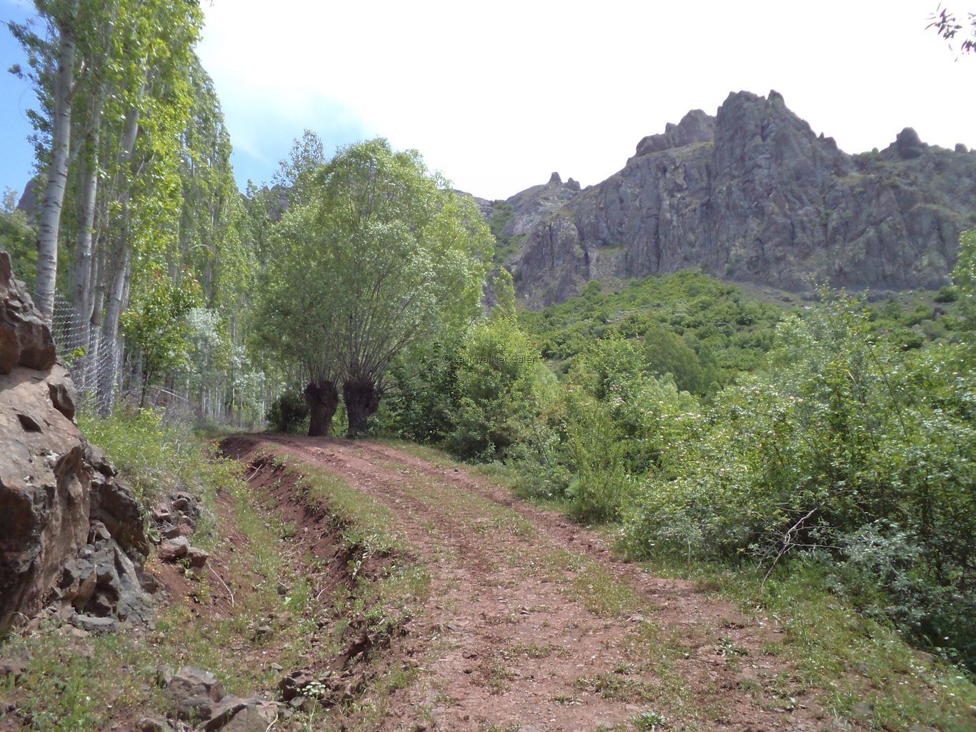 Şebinkarahisar