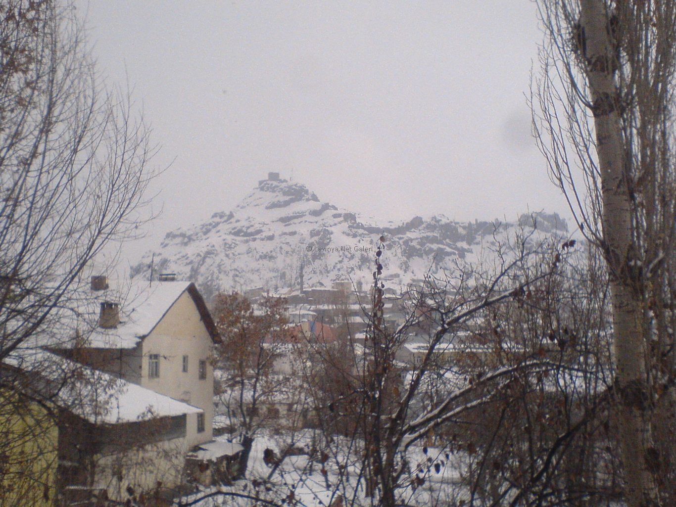 Şebinkarahisar
