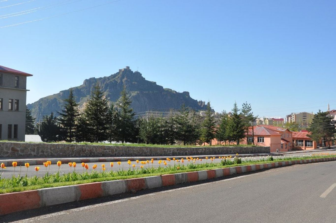 Şebinkarahisar
