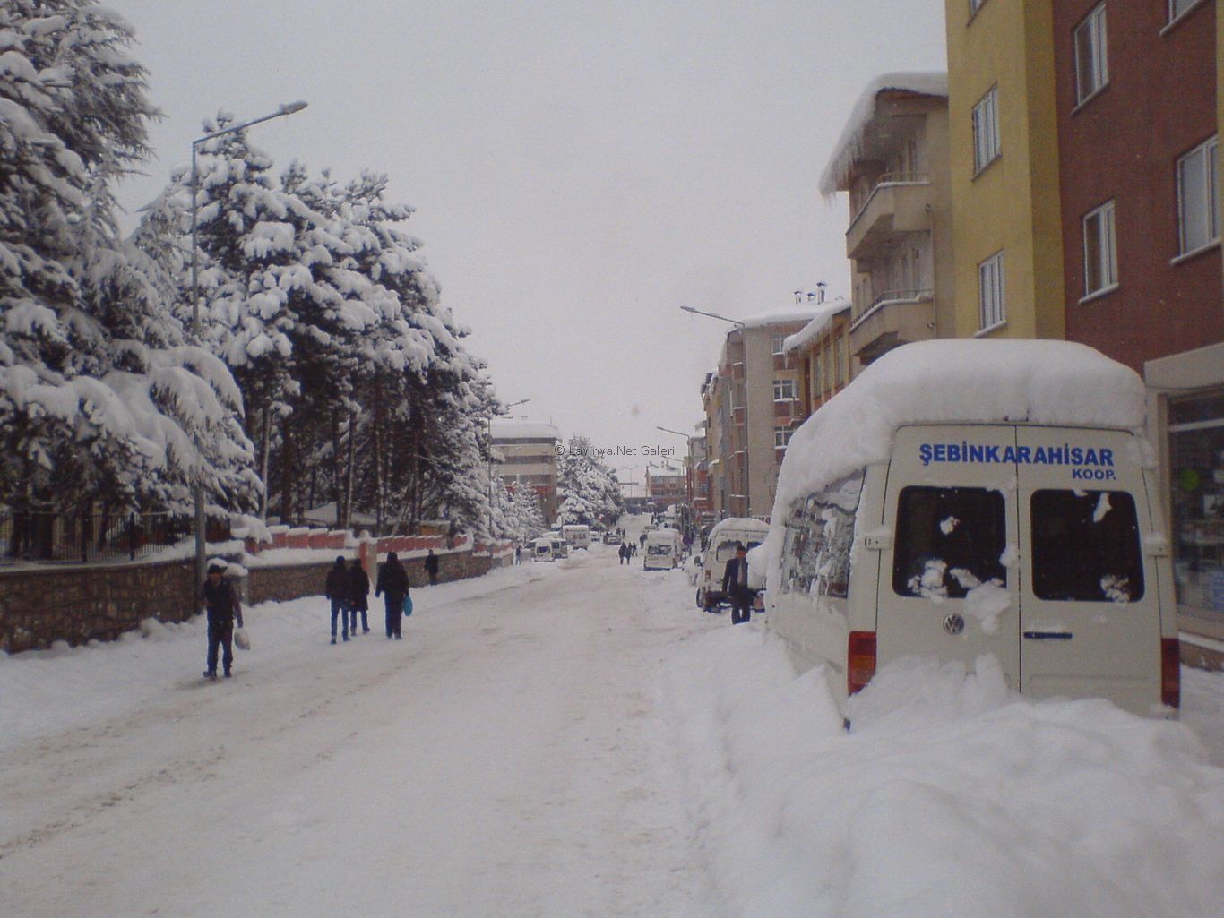 Şebinkarahisar