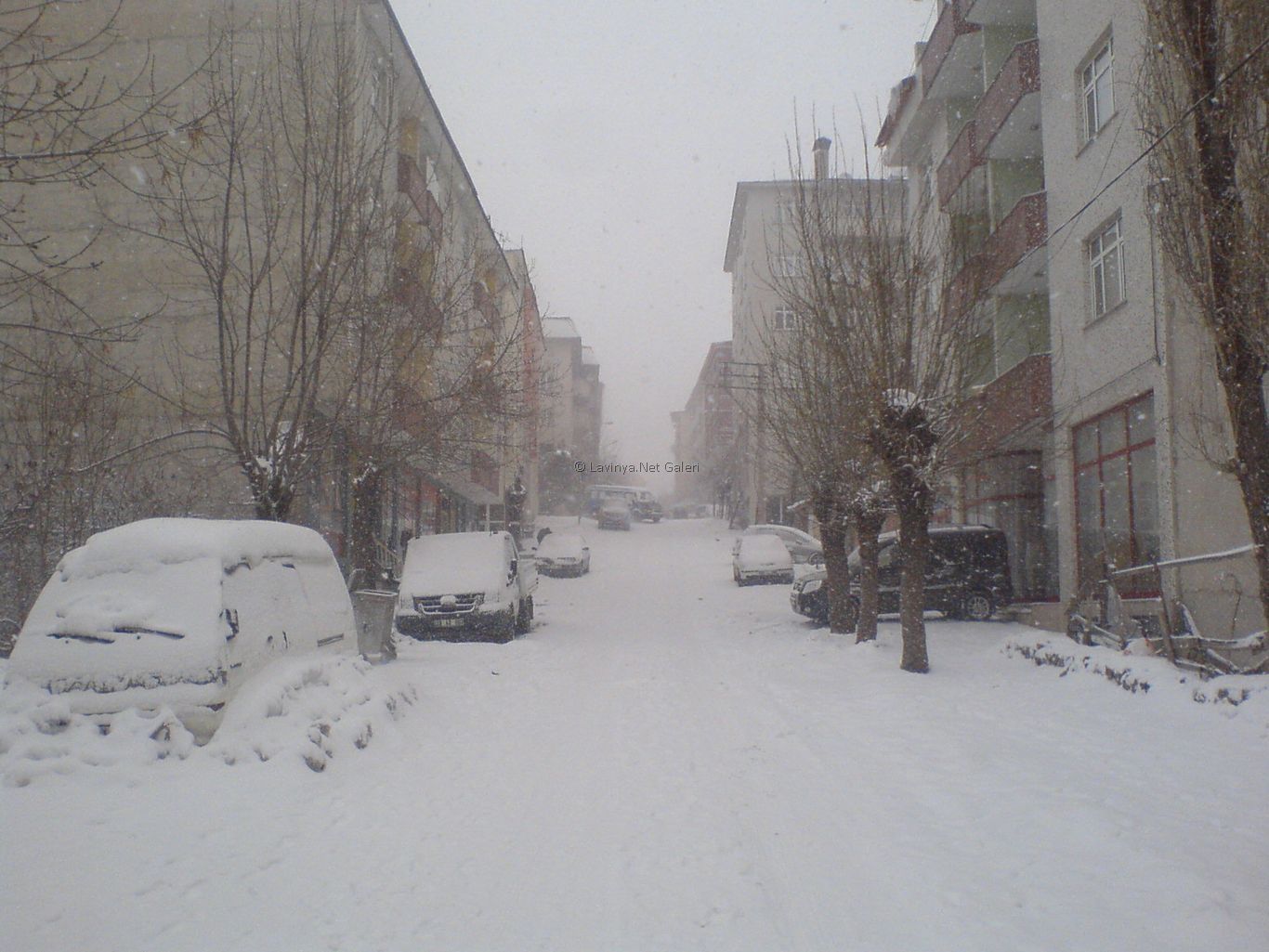 Şebinkarahisar