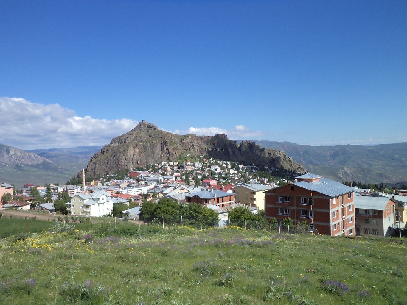 Şebinkarahisar Manzarası