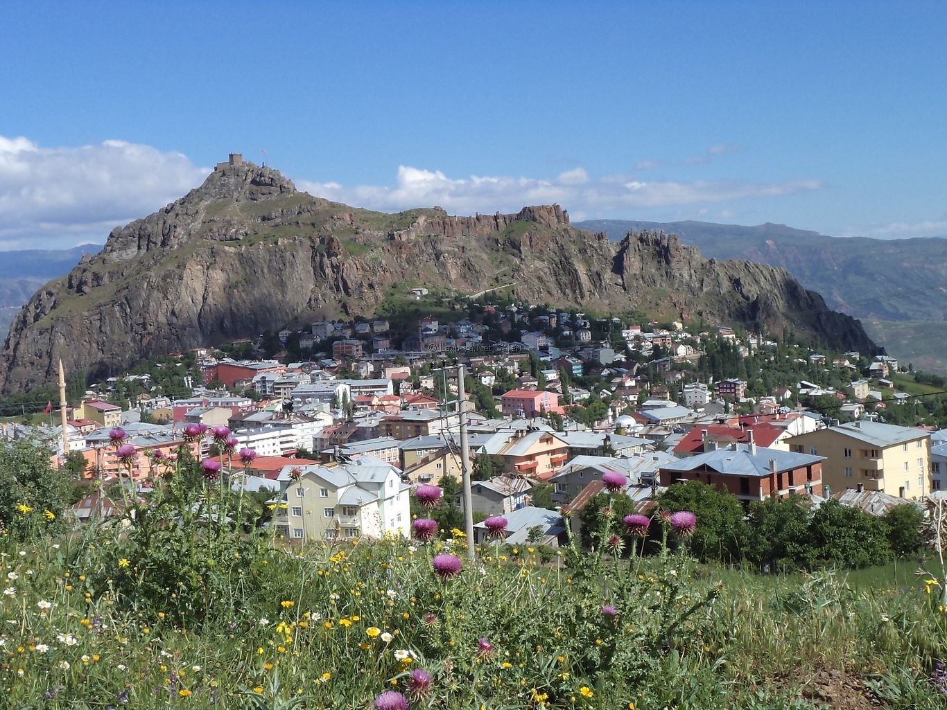 Şebinkarahisar