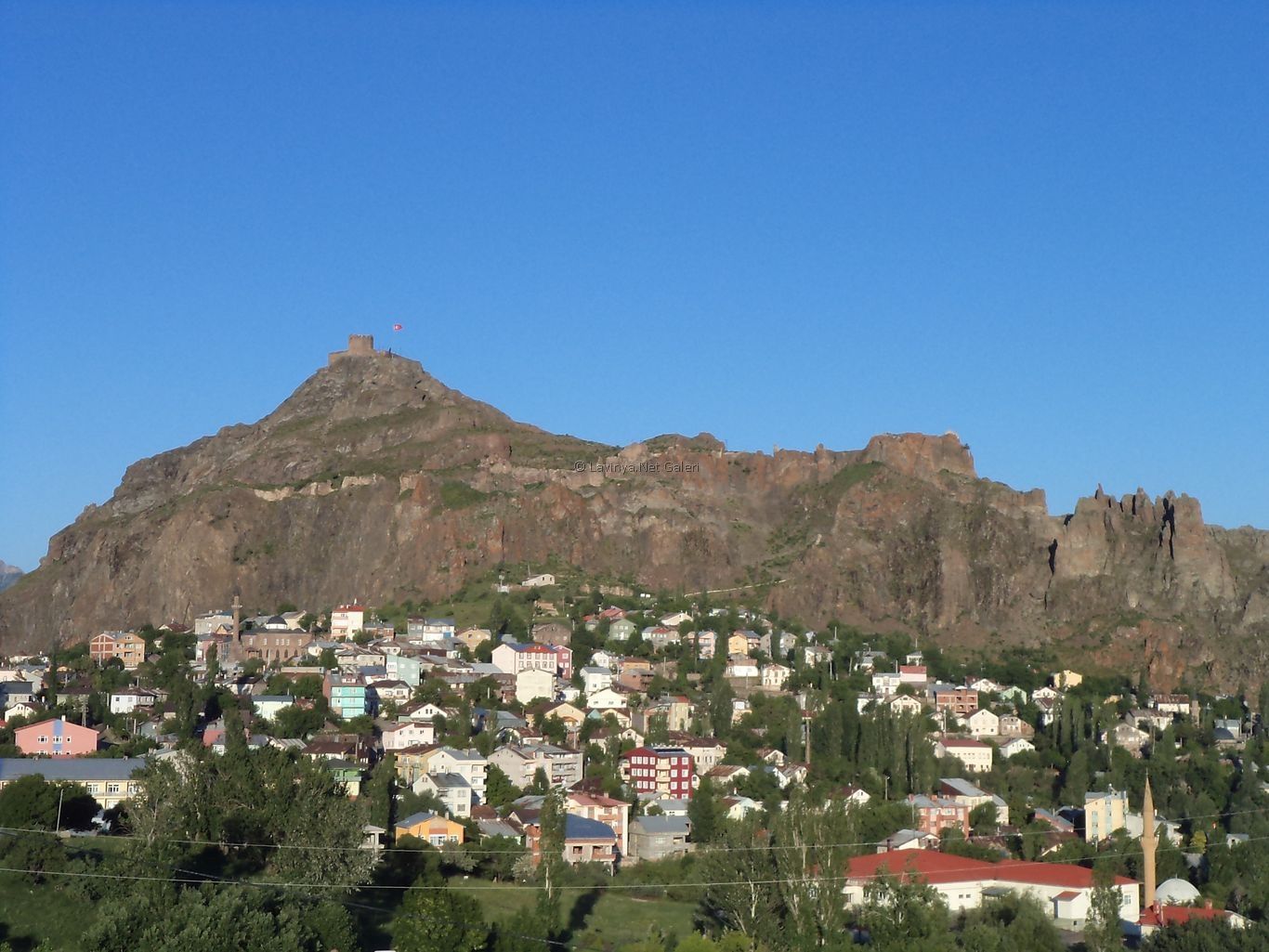 Şebinkarahisar