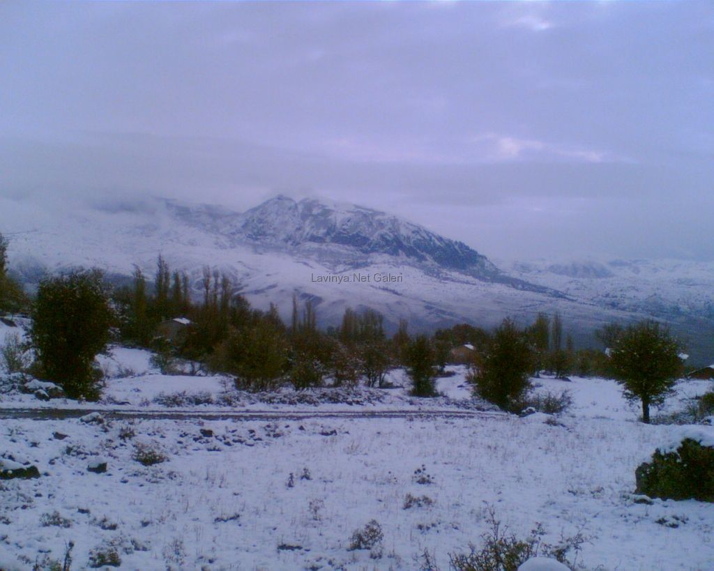 Şebinkarahisar