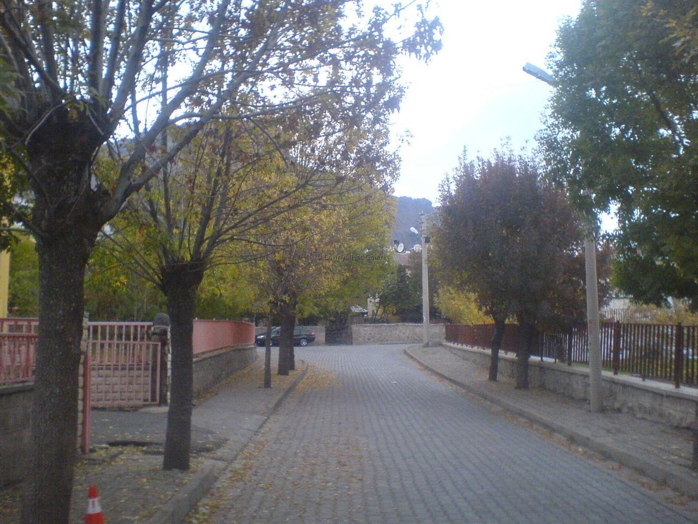Sonbahar