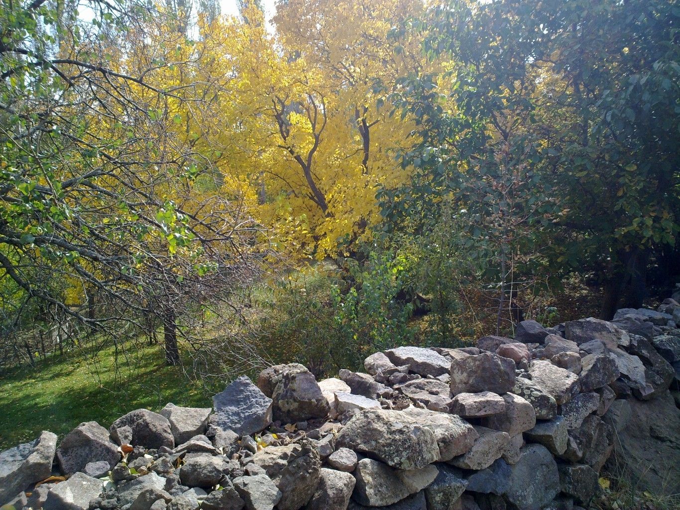 Sonbahar