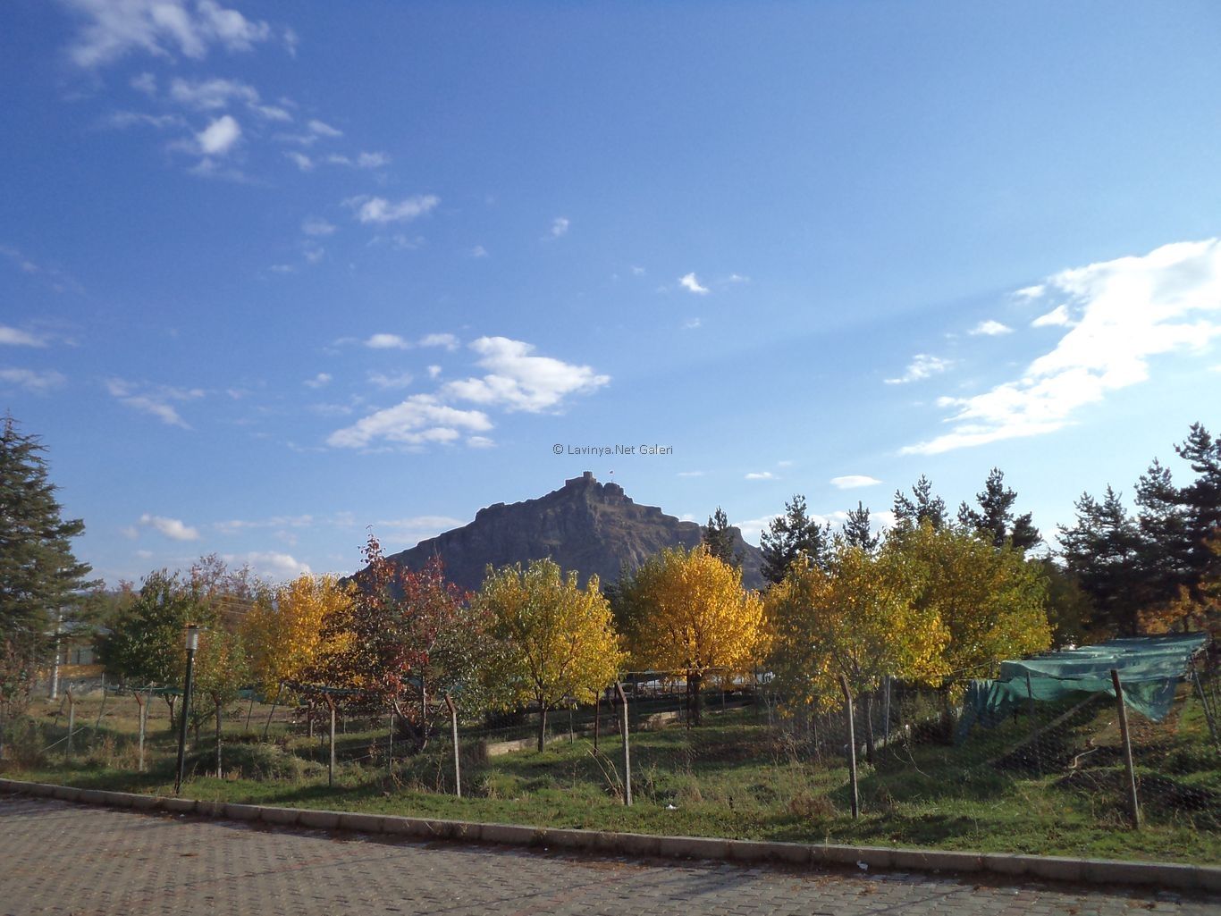 Şebinkarahisar