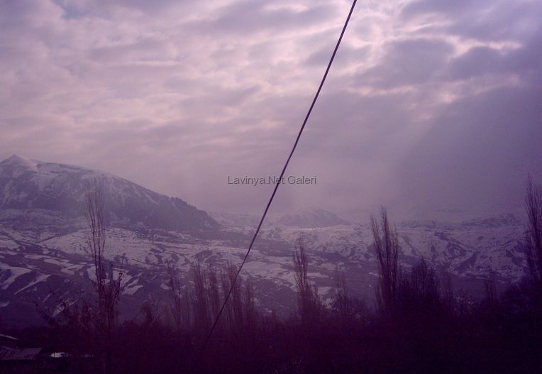 Doğa