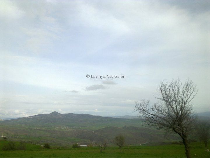 Şebinkarahisar