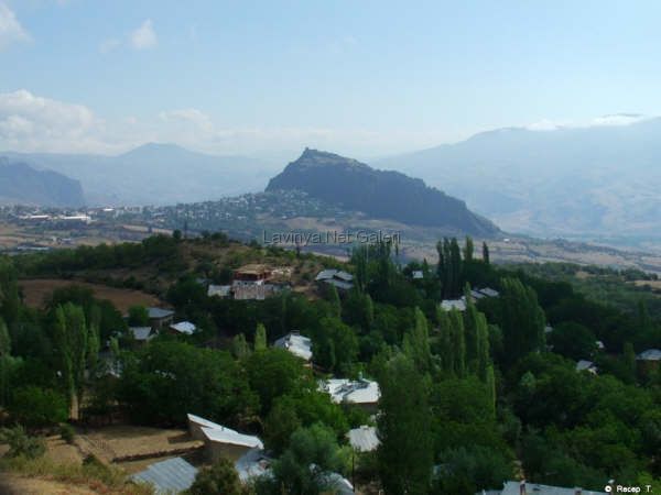 Yayci Köyü