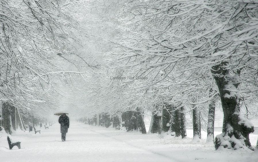 Lonely winter