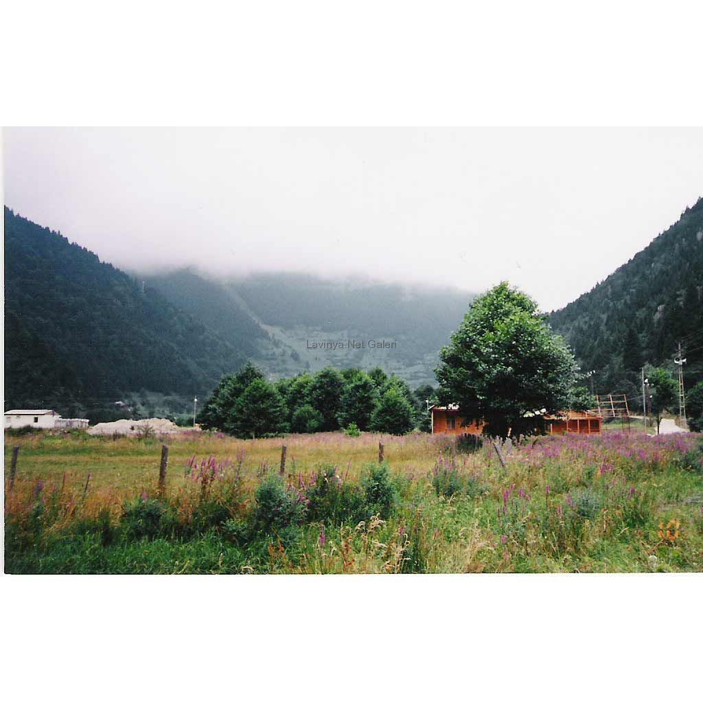 Uzungöl