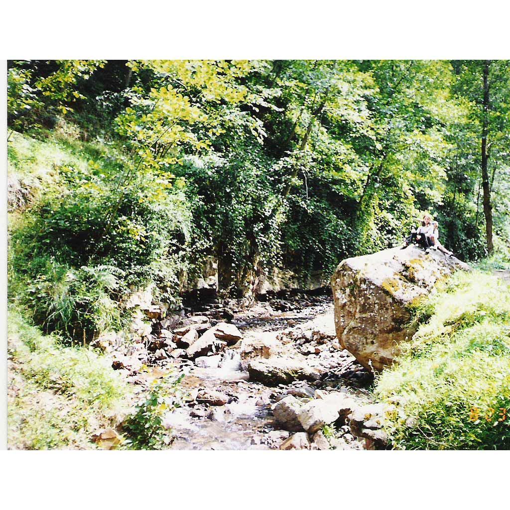 çaykara
