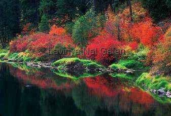 fall-reflections
