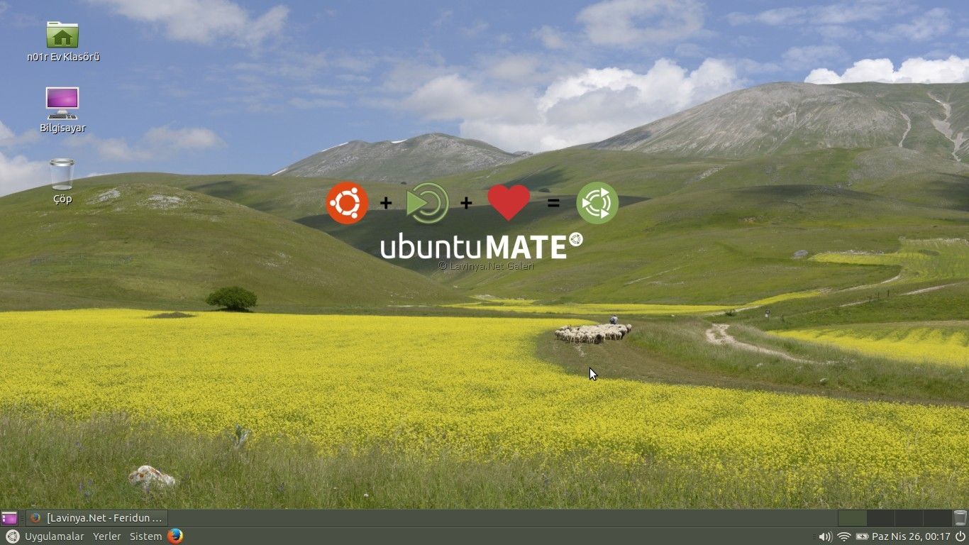 Ubuntu Mate 15.04