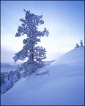Bryce Canyon