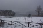 Abant