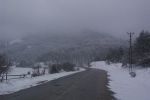 Abant / Bolu