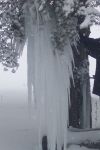 Abant / Bolu