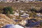 Doğa