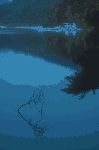 Abant
